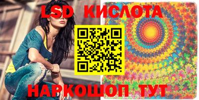прущие грибы Кандалакша
