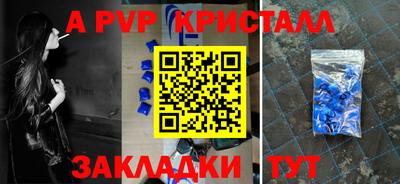 прущие грибы Кандалакша