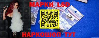 прущие грибы Кандалакша