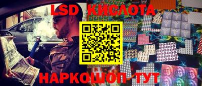 прущие грибы Кандалакша