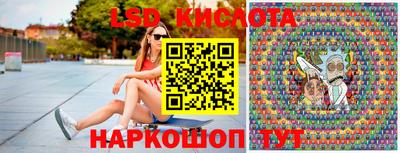 прущие грибы Кандалакша