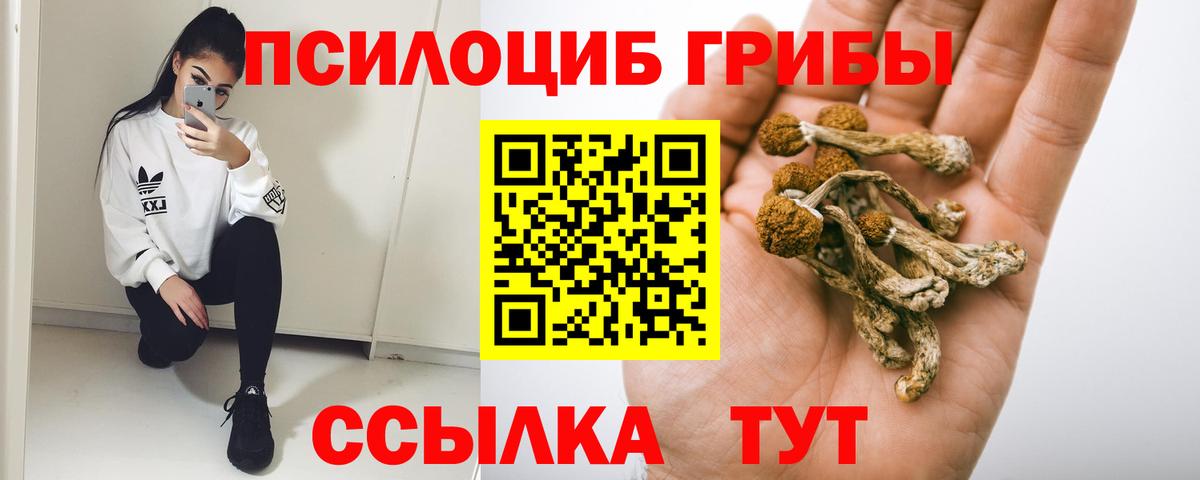 Псилоцибиновые грибы MAGIC MUSHROOMS Шелехов